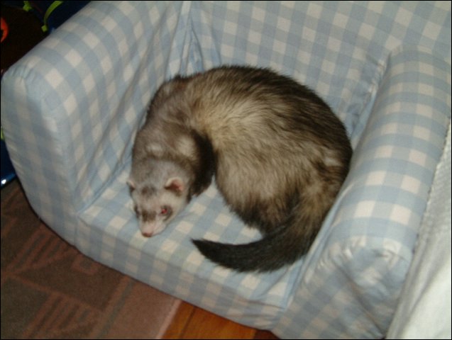2004 0601AF